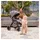hauck Move N Care Set Grau