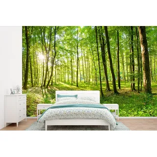MuchoWow Fototapete Natur - Bäume - Wald - Grün - Sonnenlicht, Matt, bedruckt, Vinyl Tapete für Wohnzimmer oder Schlafzimmer, Wandtapete, 360x240 cm bunt 3.6 m x 2 m