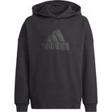 Adidas Kinder Kapuzensweat Future Icons Logo, BLACK/BLACK, 152