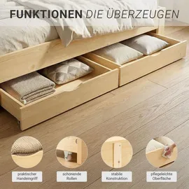 Homestyle4u Bettkasten in Braun 173x16x63 cm 1910