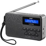 UEME Digitalradio Klein & Tragbar – DAB+/DAB/FM | 3W Lautsprecher mit Verbessertem Bass | 2600mAh Akku+18 Stunden Spielzeit | 20 Senderspeicher+ Radiowecker| für Outdoor & Zuhause(Grau/Silber)