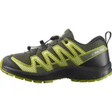 Salomon Xa Pro V8 Wanderschuhe - Urban Chic / Black / Dark Citron - EU 33