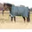 Horseware Rhino Wug 100g Weidedecke Hunter Check