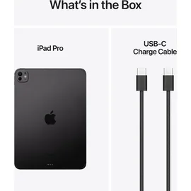 Apple iPad Pro 11" (5. Generation 2024) 256 GB Wi-Fi + Cellular Space Schwarz