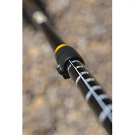 Coasto Regent 11'8 355 x 86 cm Horizon