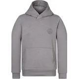Naketano Hoodie Theo's Lieblingspulli Grau S
