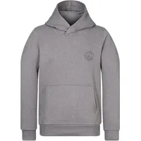Naketano Hoodie Theo's Lieblingspulli Grau S