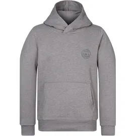 Naketano Hoodie Theo's Lieblingspulli Grau S