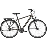 Kalkhoff Image HS R City Bike Crystalgrey Matt | 28" Herren Diamant S/45cm