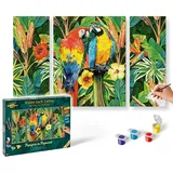 Schipper 609260853 - Malen nach Zahlen Papageien im Regenwald Triptychon, 50 x 80 cm