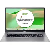 Acer Chromebook 317 (CB317-1H-C680), Chromebook, mit 17,3 Zoll Display, Intel® Celeron® N5100 Prozessor, 8 GB RAM, 128 eMMC, UHD Graphics, Sparkly Silver, Google ChromeOS