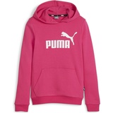 Puma Puma, Mädchen, Pullover, ESS Logo Hoodie TR G, Rosa, (140)