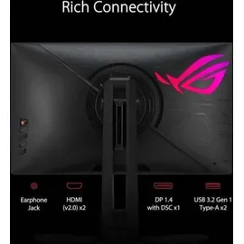 Asus ROG Swift PG248QP 24,1" schwarz