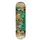 Tony Hawk SS180 Skateboard Crocodile Creek
