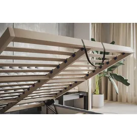 alpimeble Polsterbett 180 x 200 cm Grau