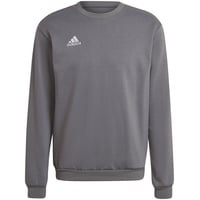 Adidas Entrada 22 Sweatshirt Team Grey Four XL