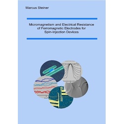 Micromagnetism and Electrical Resistance of Ferromagnetic Electrodes for Spin-Injection Devices als eBook Download von