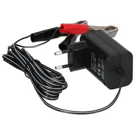 Ansmann ALCS2-12 0.4 1001-0015 Steckerlader 6 V, 2 V, 12 V 0.4 A