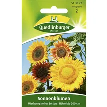 Quedlinburger Sonnenblume, Mischung hoher Sorten