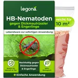 Legona HB-Nematoden gegen Dickmaulrüssler und Engerlinge