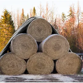 ECD Germany Abdeckplane 6 x 8 m Grau