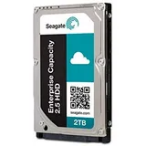 Seagate Enterprise Capacity 2TB (ST2000NX0253)