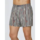Witt Weiden Boxershorts in grau-bedruckt | Gr.: 6