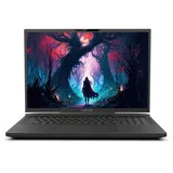 I81-510 17,3'' Core i9-14900HX 64 GB RAM 1 TB SSD RTX 4080