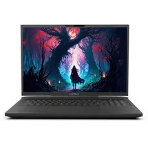 Captiva Highend Gaming I81-510 17,3'' Core i9-14900HX 64 GB RAM 1 TB SSD RTX 4080