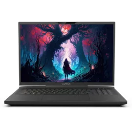 Captiva Highend Gaming I81-510 17,3'' Core i9-14900HX 64 GB RAM 1 TB SSD RTX 4080