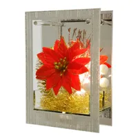 I.GE.A. LED-Dekofigur I.GE.A. "Dekoobjekt aus Glas mit LED Licht", rot, B:16cm H:21cm, Glas, Dekofiguren, Mit Weihnachtsstern Engelshaar Tannengrün Weihnachtsdeko Deko Geschenk