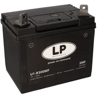 Landport Batterie 12V 24Ah für Rasenmäher Rasentraktor LB U1-R300MF