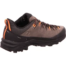 Salewa Alp Trainer 2 GTX Herren Bungee Cord/Black 46