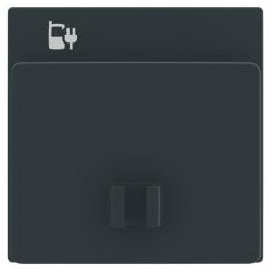 Busch-Jaeger Zentralscheibe für USB Ladestation Einsatz (anthrazit)