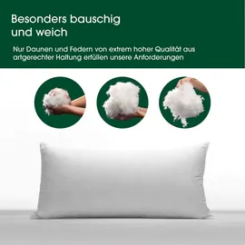 HANSKRUCHEN Premium de Luxe Daunenkissen 60 x 80 cm Weiß