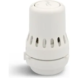 Danfoss Heizkörperthermostat RAW 5010 mit Fühler 8-28 °C