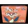 Pokémon Flareon VMAX Gift Box S-Chinese