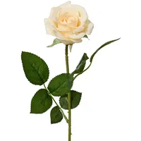 Decoris Künstliche Rose mit Stiel 8x55cm - Kunstblumen Seidenblumen Dekoblumen Blumendeko Stielblumen Blumen Deko Hochzeit Valentinstag Kunstrose Creme