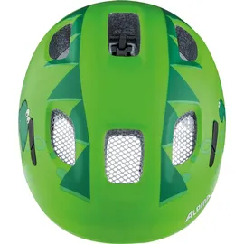 Alpina Ximo 2 Flash 49-54 cm green dino matt