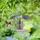 Relaxdays Vogelfutterhaus Vogelhaus