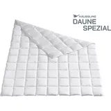 Häussling Daune Spezial Sommer Daunendecke 135x200 cm | Sommerdecke, Daunendecke Sommer, 8x10 Karos, Deutsche Manufaktur, auch für Allergiker gee... - Weiß