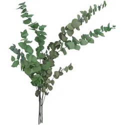 VOSTEEN 1 Stück Eukalyptuszweige  konservierte Trockenblumen für Tischdeko, Hochzeitsdeko & Events  natürliche, langlebige Dekoration