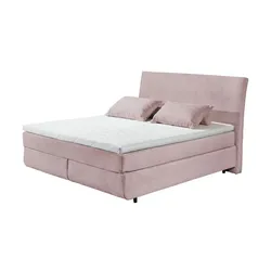 Boxspringbett  Kent ¦ rosa/pink ¦ Maße (cm): B: 185 H: 126