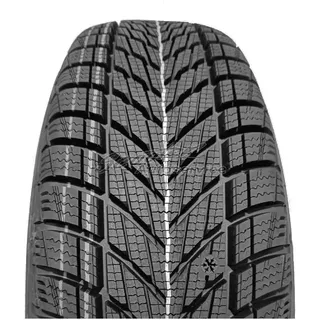 245/35 R21 99V XL