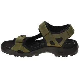 ECCO Offroad Herren braun 44