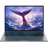 Blackview GamiBook 8 16'' AMD Ryzen 7 7735HS 32 GB RAM 1 TB SSD Win 11 Pro Grau