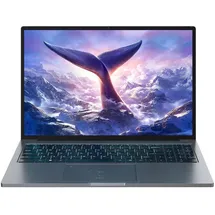 Blackview GamiBook 8 16'' AMD Ryzen 7 7735HS 32 GB RAM 1 TB SSD Win 11 Pro Grau