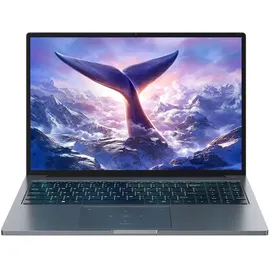 Blackview GamiBook 8 16'' AMD Ryzen 7 7735HS 32 GB RAM 1 TB SSD Win 11 Pro Grau