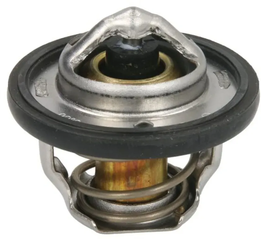 Thermostat TOURMAX TMT-305