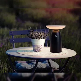 NÄVE LED Solarleuchte »Ada« schwarz